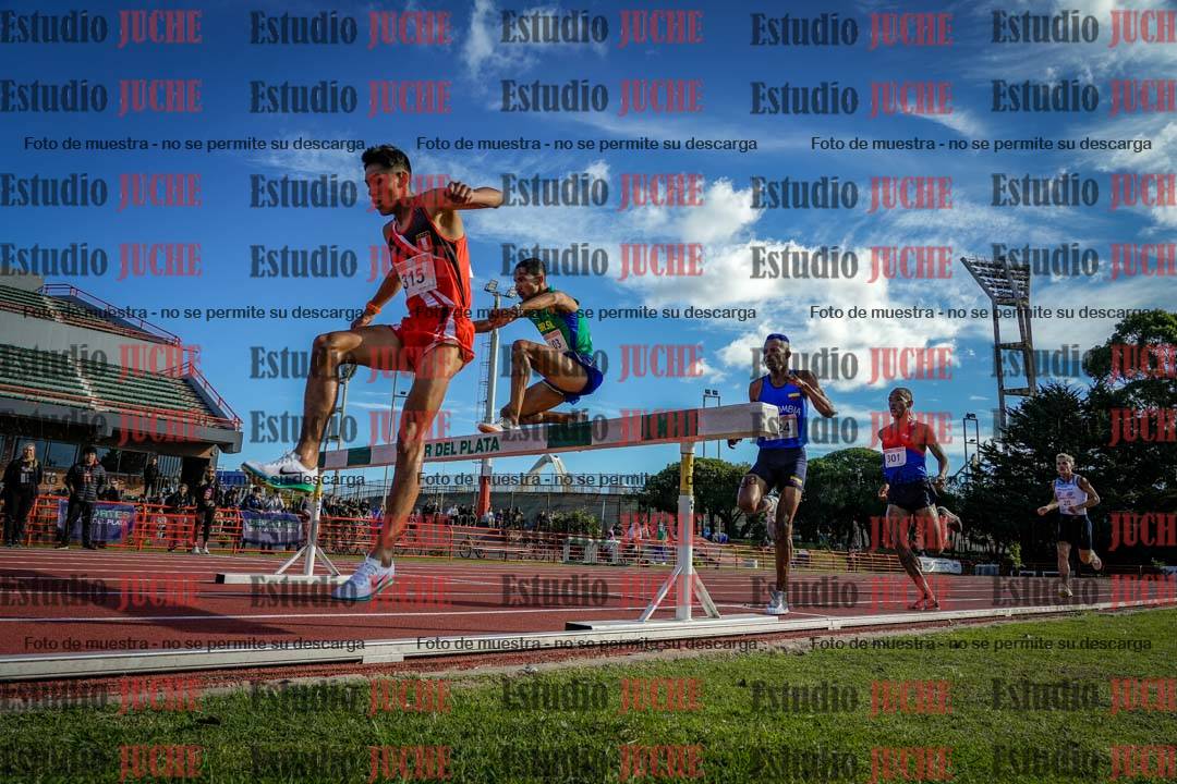 Fotos de los 3000 m con obstáculos de varones