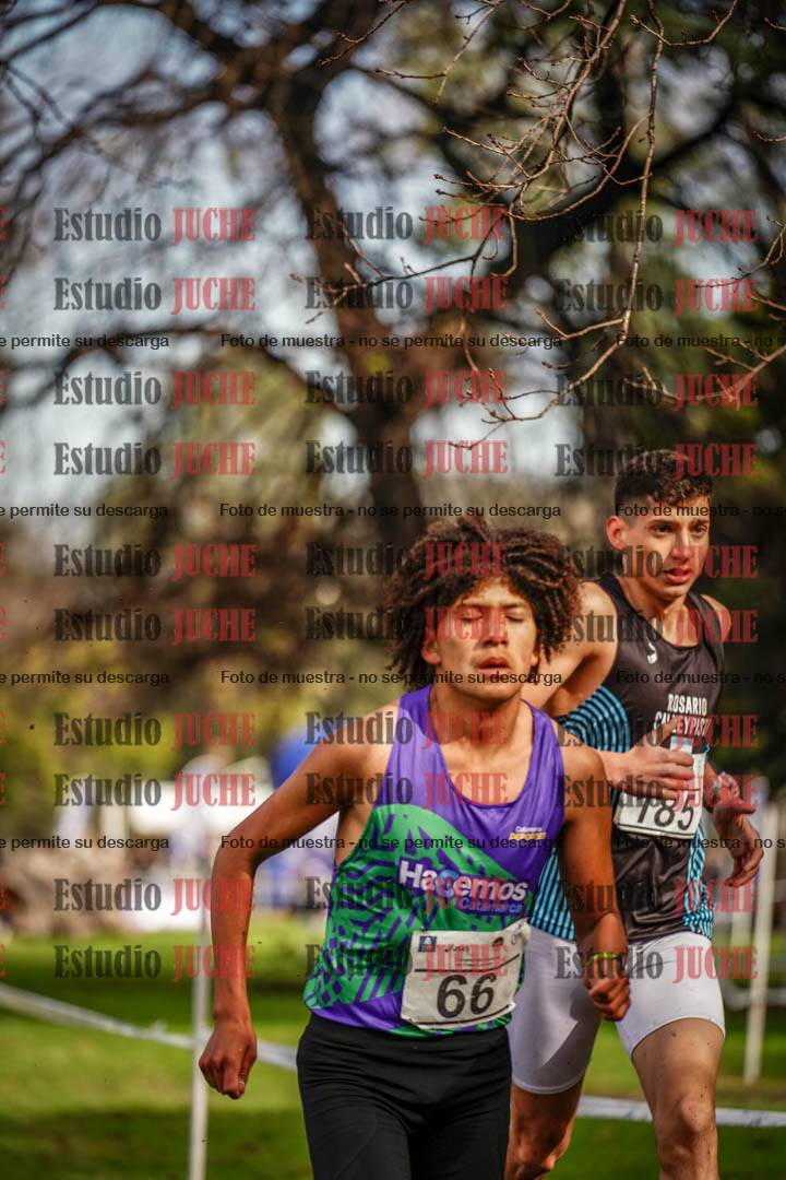 Fotos en el circuito