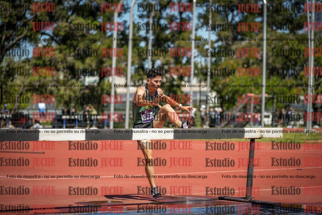 Fotos de los 3000 m con obstáculos de varones