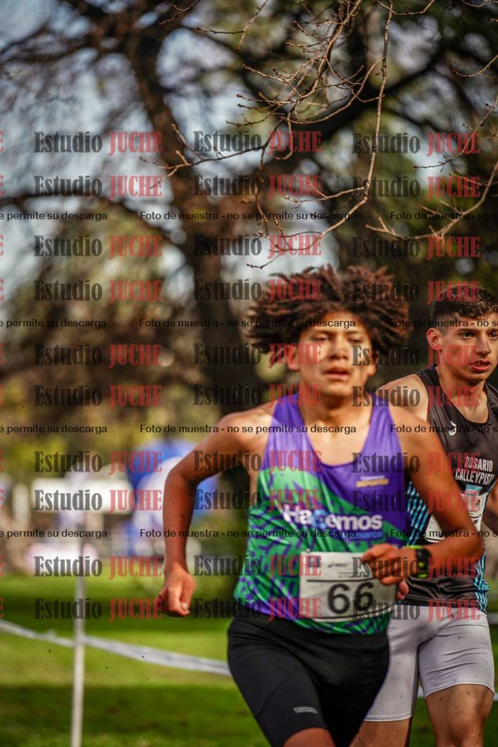 Fotos en el circuito