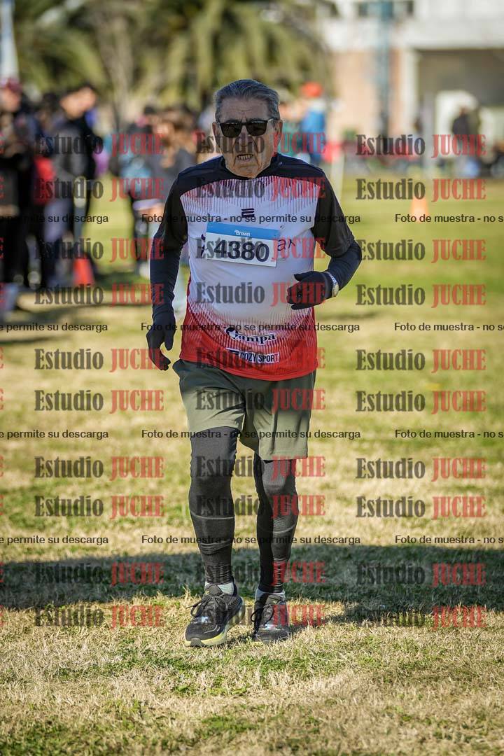 Fotos de las llegadas