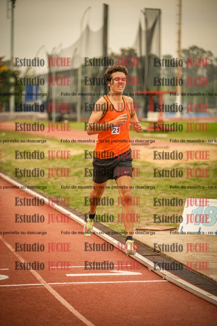 Fotos de los 800 m llanos de varones