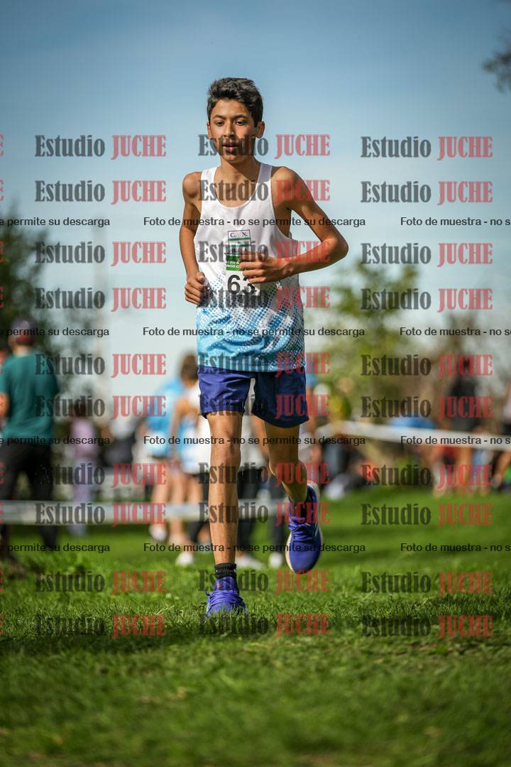 Fotos de la llegada del cross de 2000 m