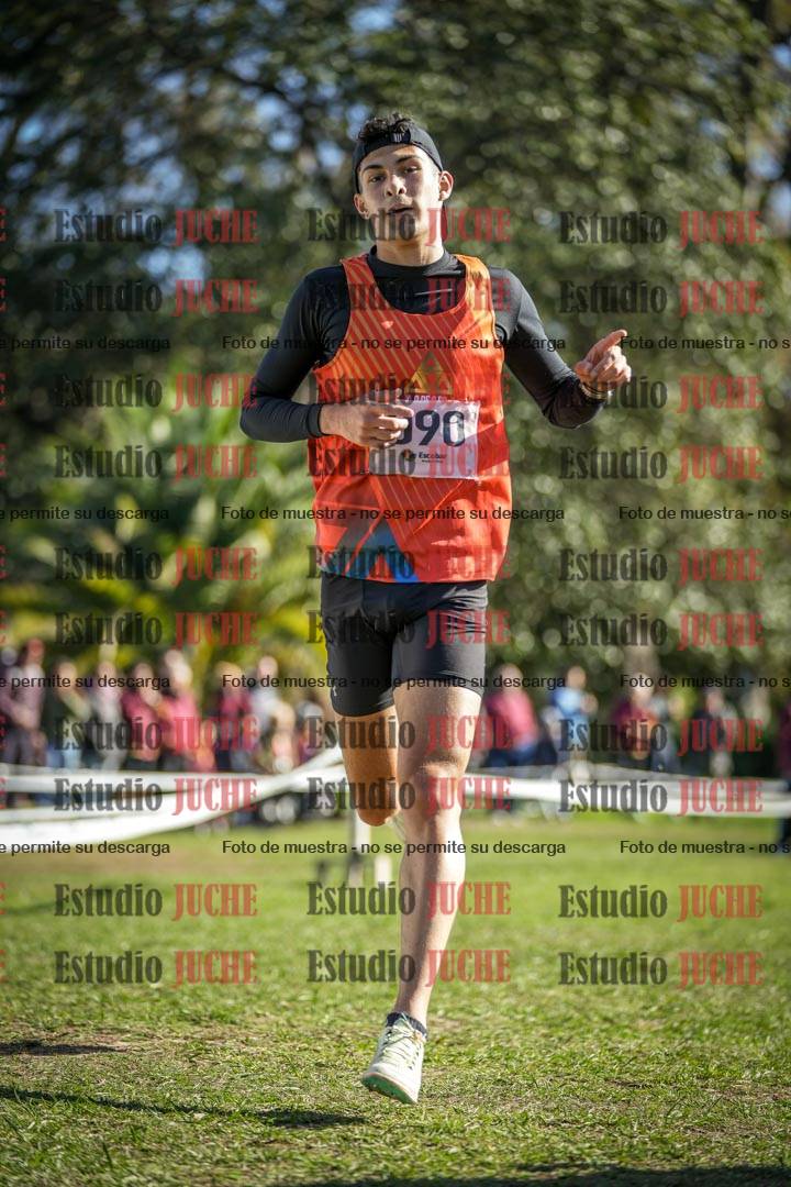Fotos de la llegada del cross de 6000 m