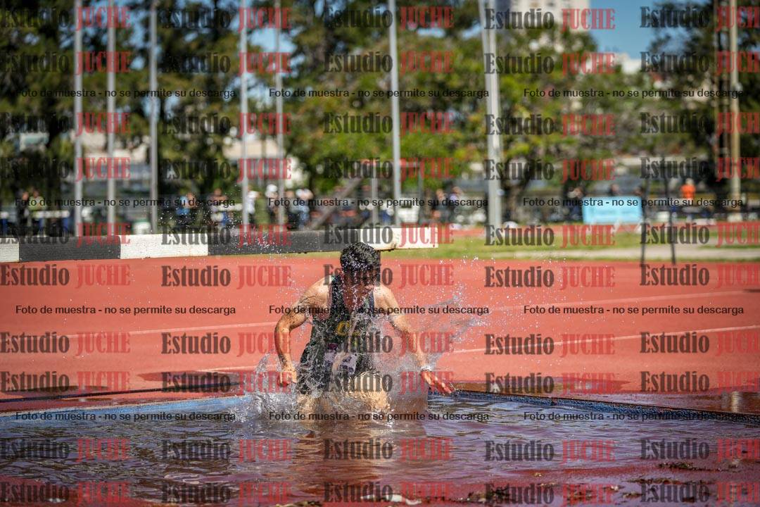 Fotos de los 3000 m con obstáculos de varones
