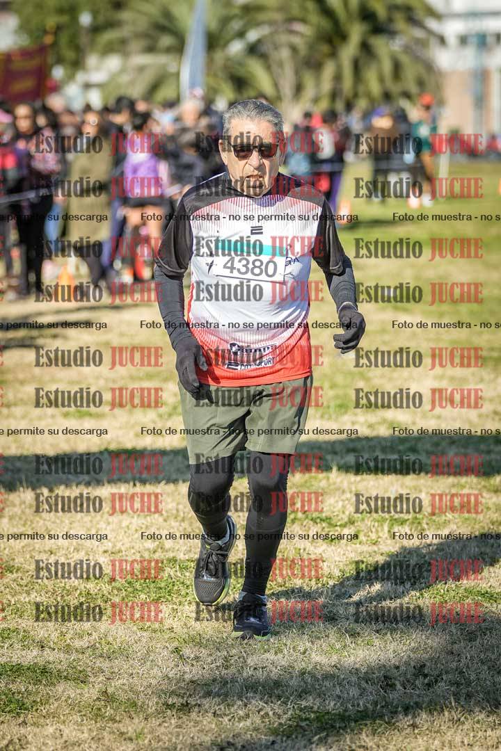 Fotos de las llegadas