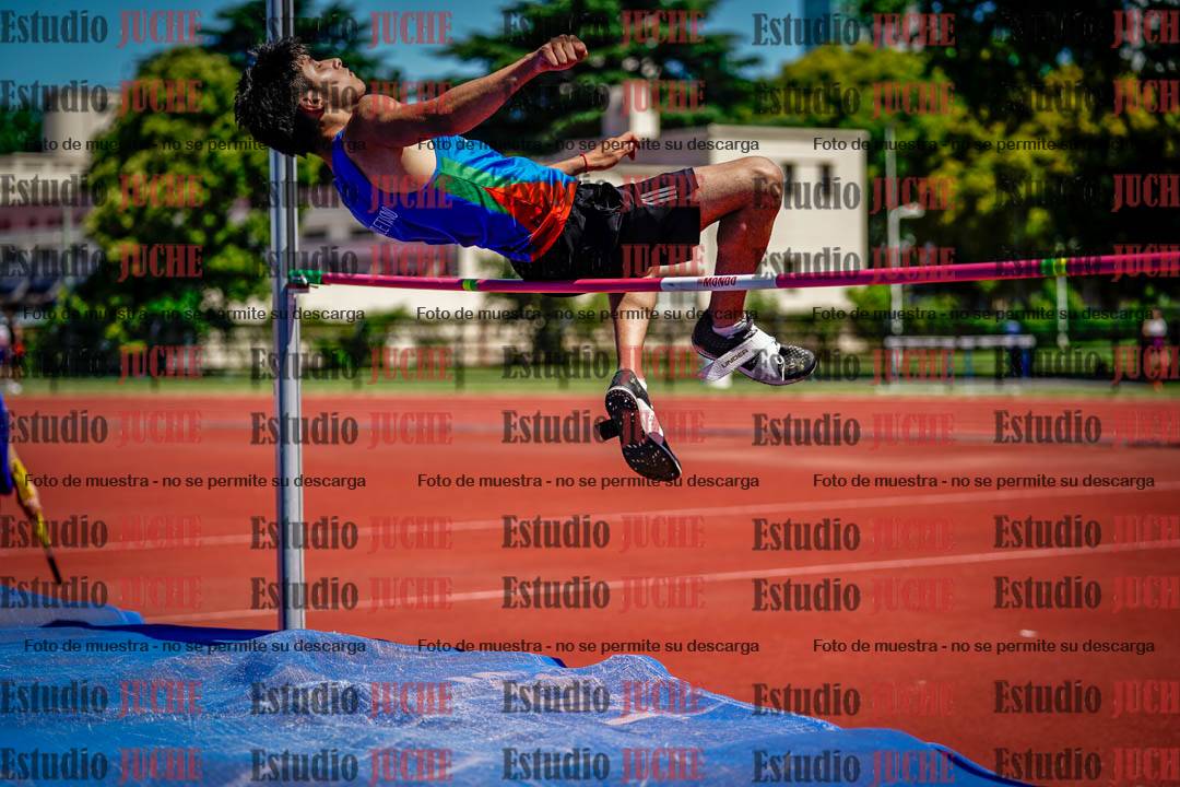Fotos del salto en alto de varones