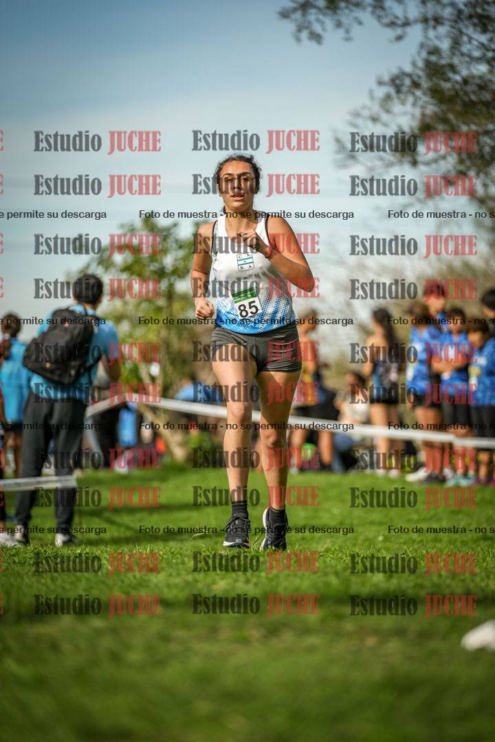 Fotos de la llegada del cross de 2000 m