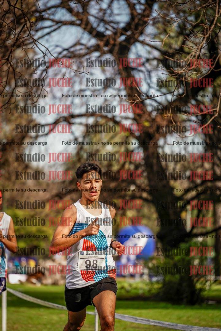 Fotos en el circuito