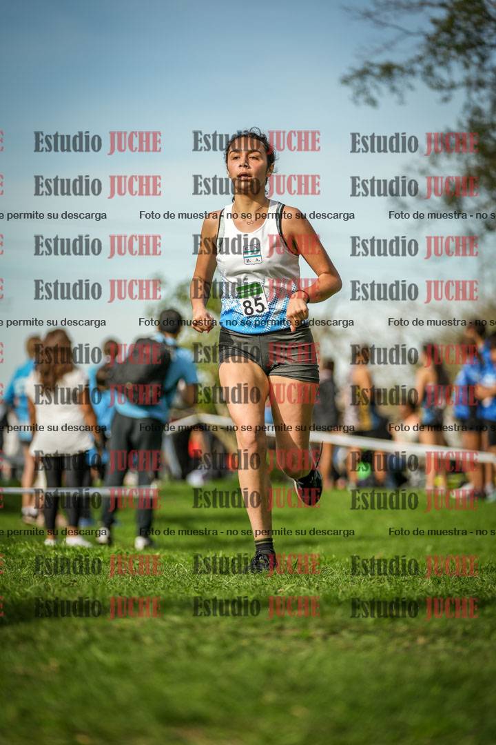 Fotos de la llegada del cross de 2000 m