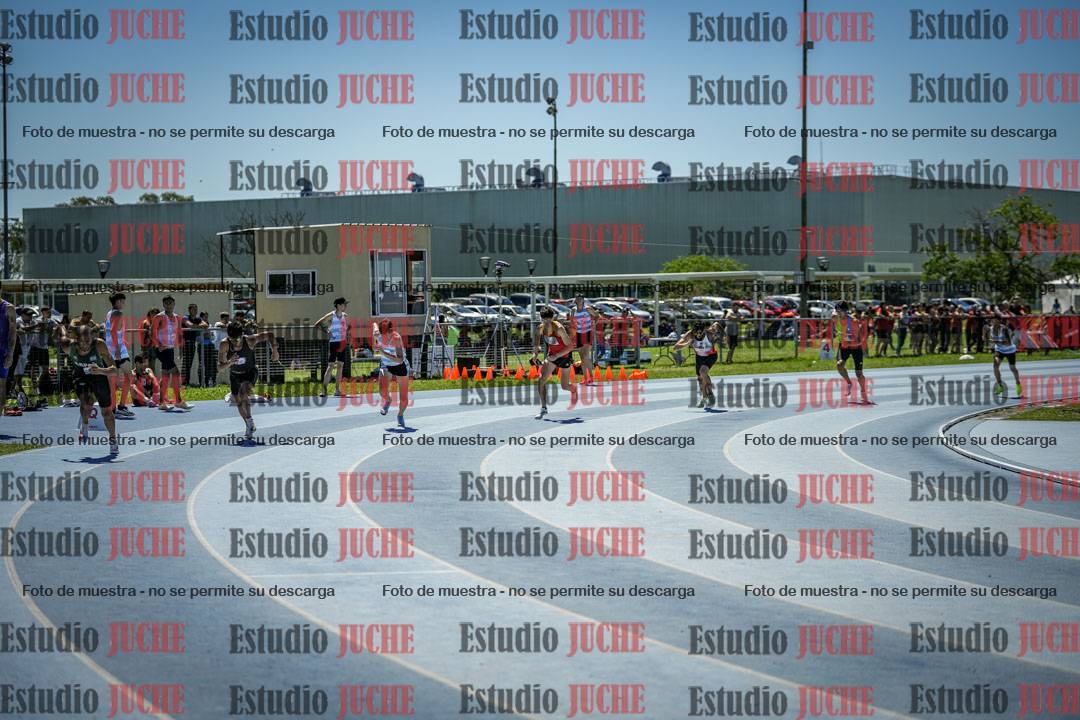 Fotos de los 800 m llanos de varones