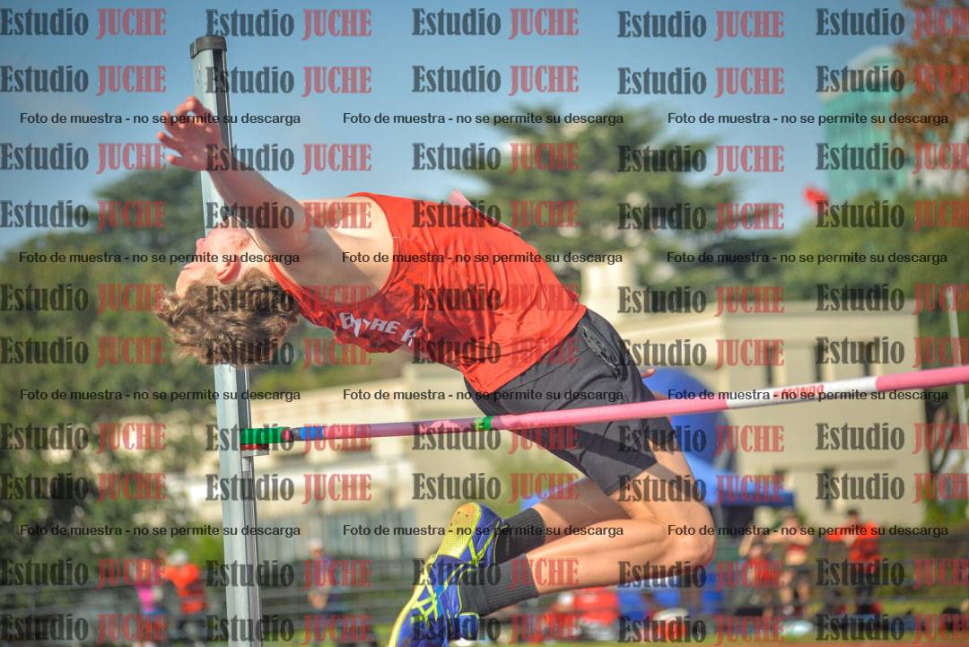 Fotos del salto en alto de varones