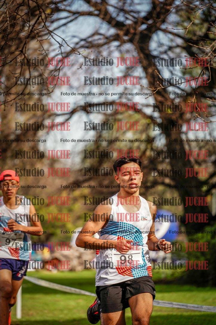 Fotos en el circuito