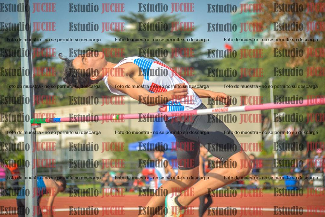 Fotos del salto en alto de varones