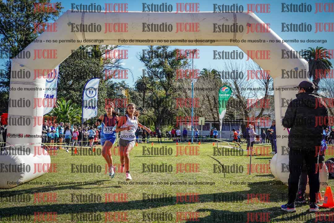 Fotos de la llegada del cross de 2000 m