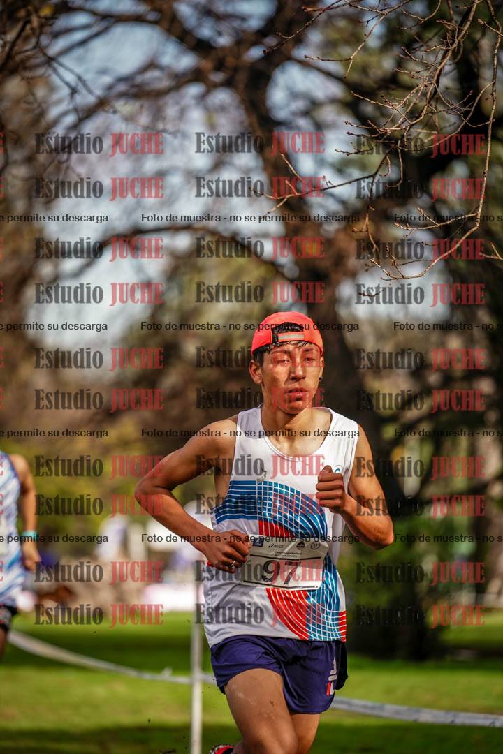 Fotos en el circuito