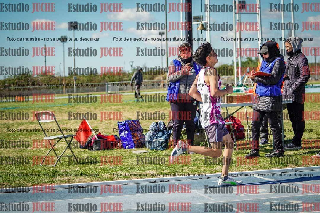 Fotos de los 800 m llanos de varones