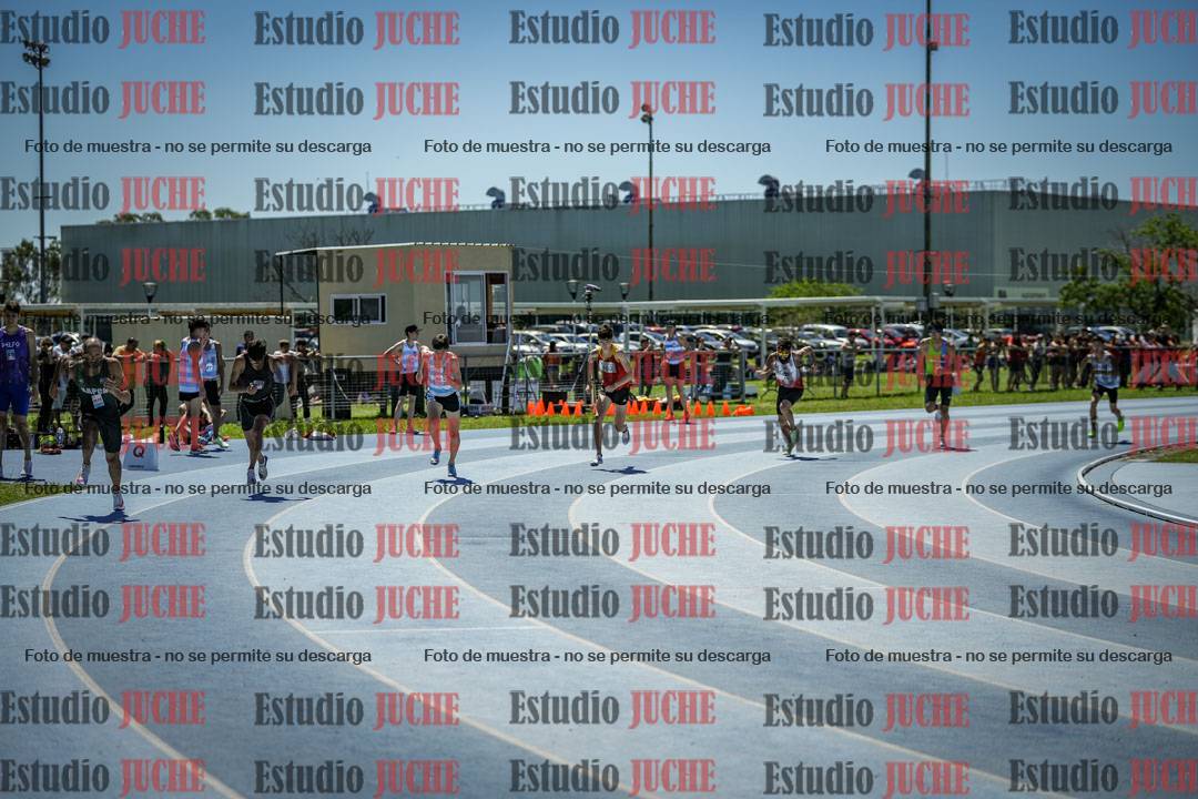 Fotos de los 800 m llanos de varones