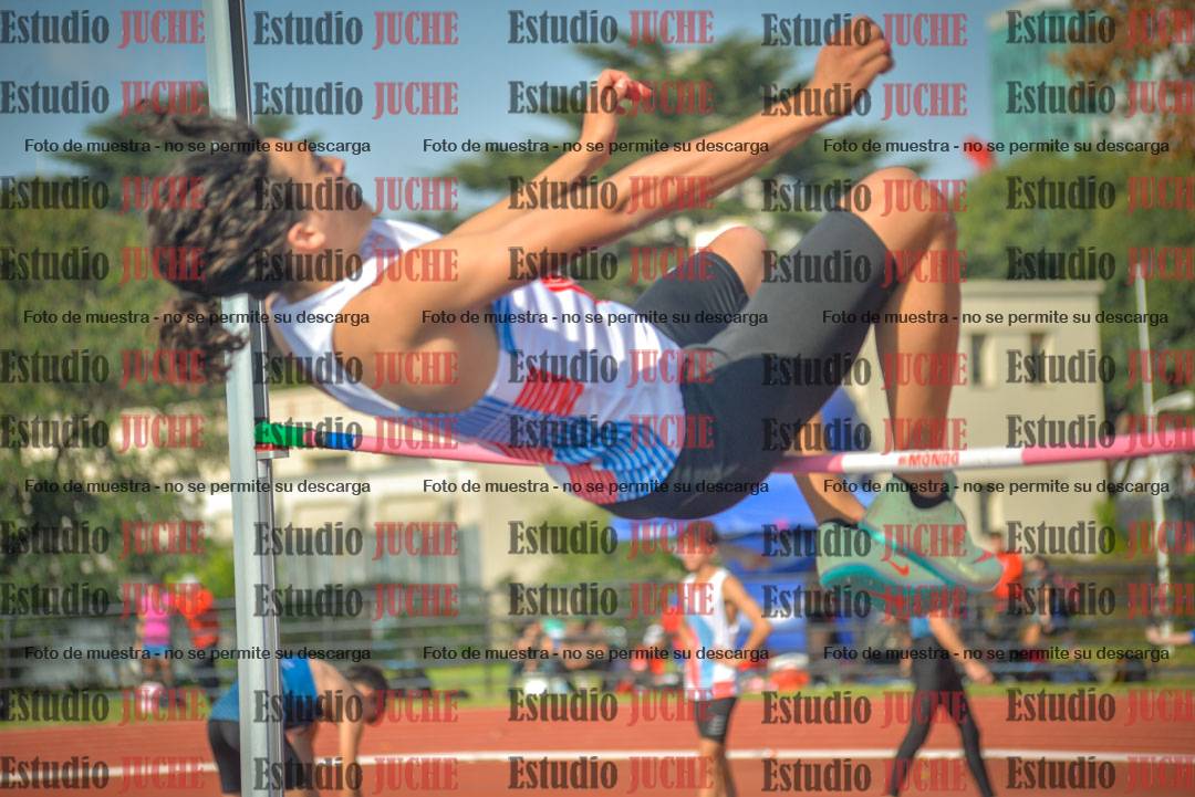 Fotos del salto en alto de varones