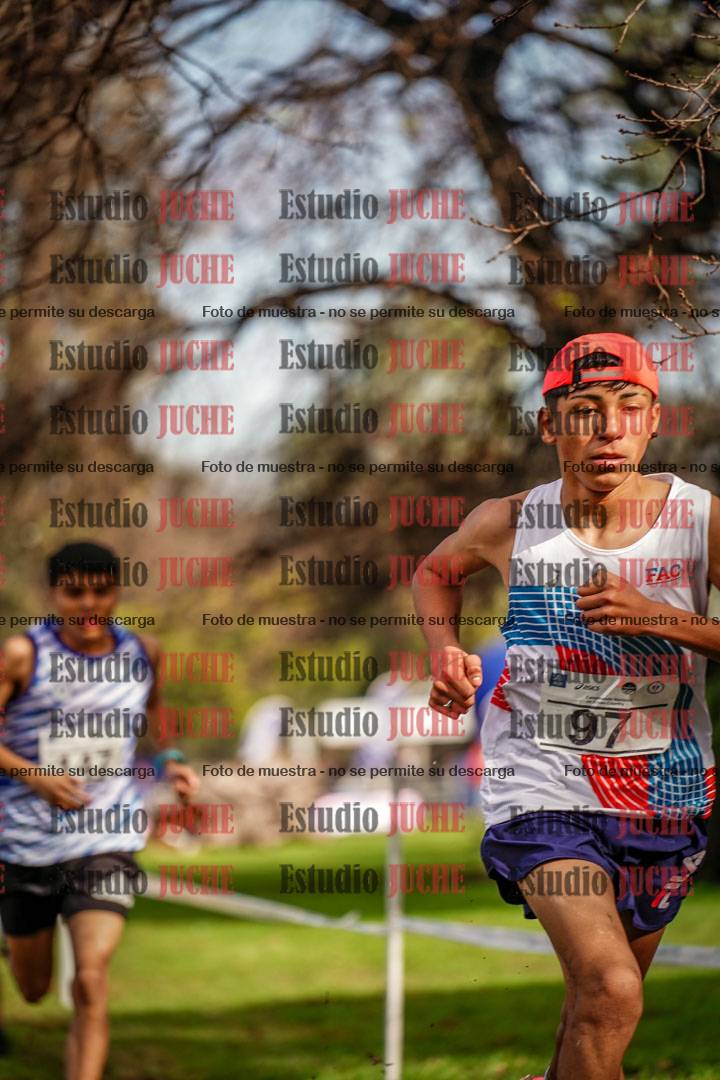 Fotos en el circuito