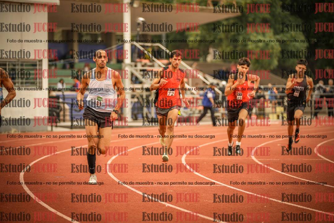 Fotos de los 800 m llanos de varones