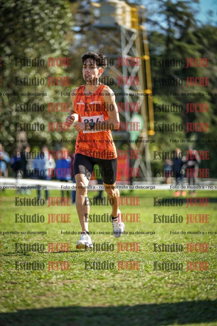 Fotos de la llegada del cross de 6000 m