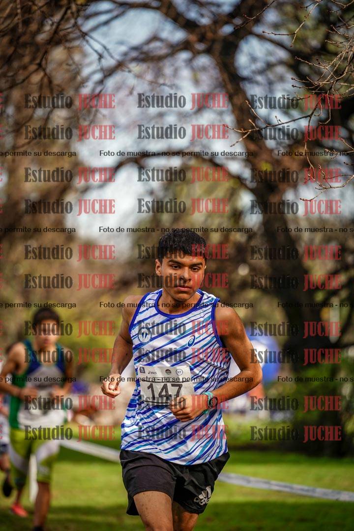 Fotos en el circuito