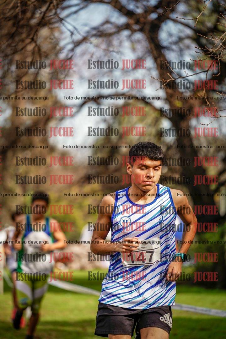 Fotos en el circuito