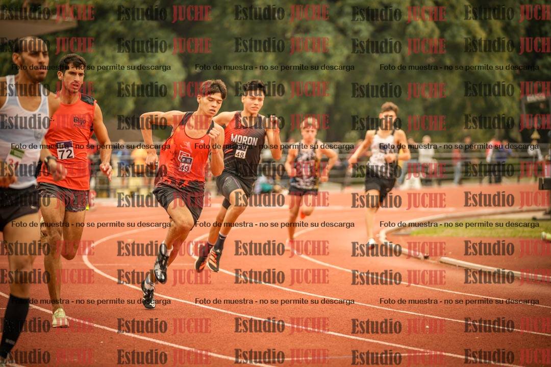 Fotos de los 800 m llanos de varones