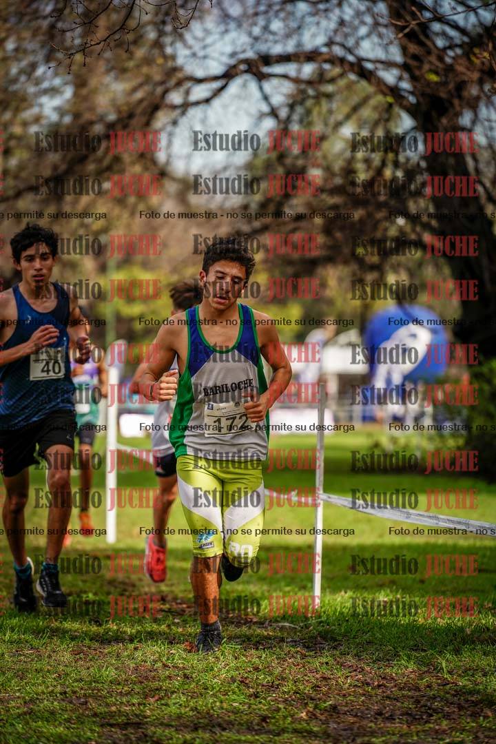 Fotos en el circuito