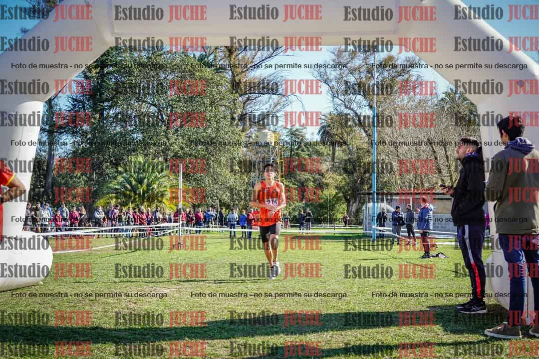 Fotos de la llegada del cross de 6000 m
