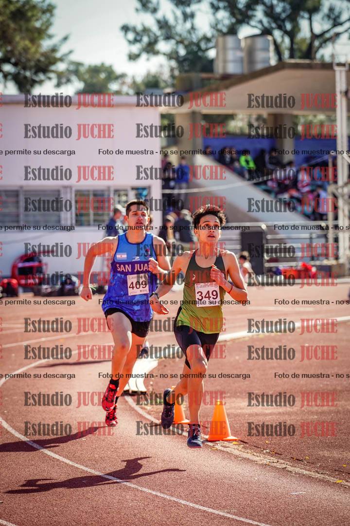 Fotos de los 800 m llanos de varones