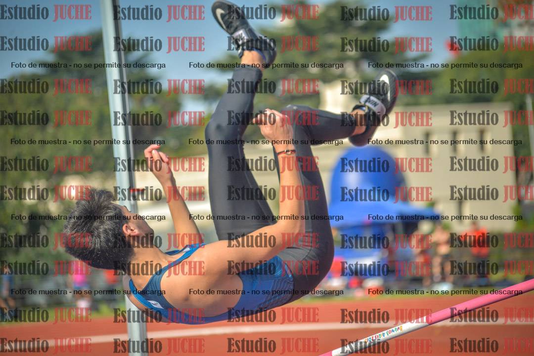 Fotos del salto en alto de varones