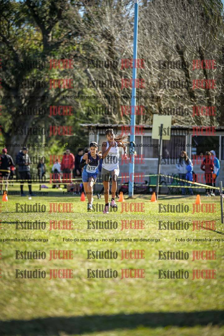 Fotos de la llegada del cross de 2000 m