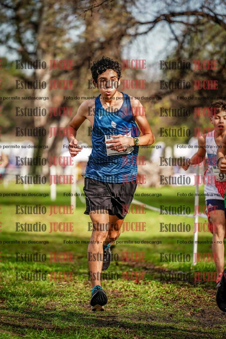 Fotos en el circuito