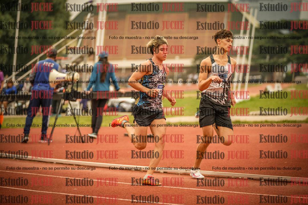 Fotos de los 800 m llanos de varones