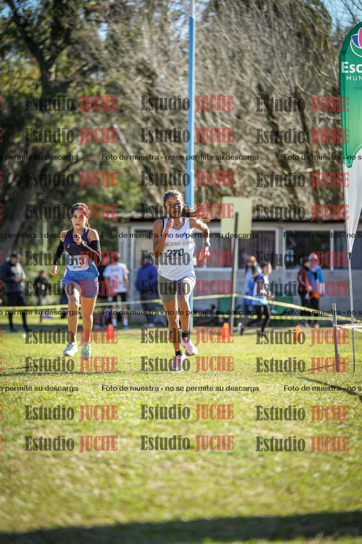 Fotos de la llegada del cross de 2000 m