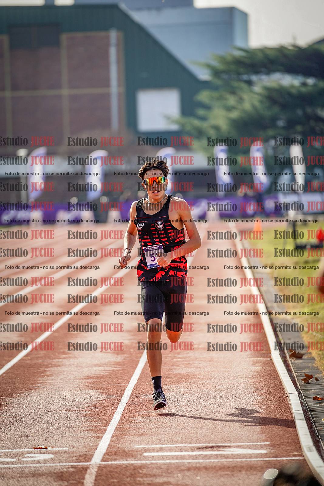 Fotos de los 800 m de varones