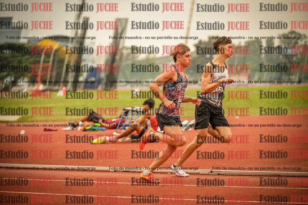 Fotos de los 800 m llanos de varones