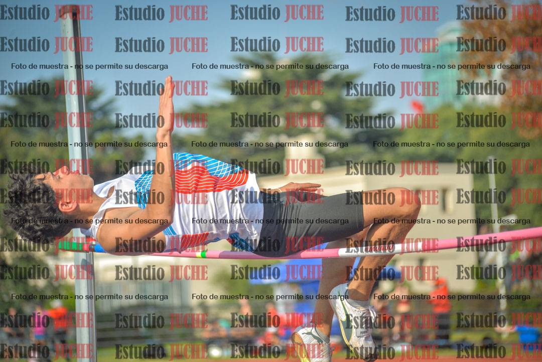 Fotos del salto en alto de varones