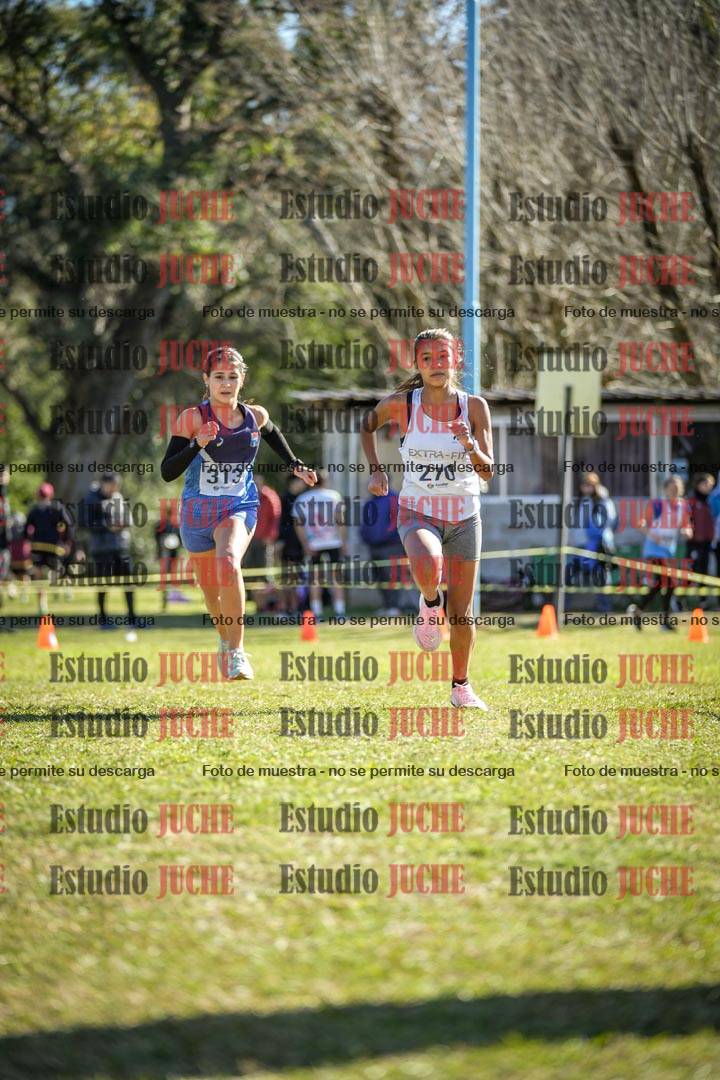 Fotos de la llegada del cross de 2000 m