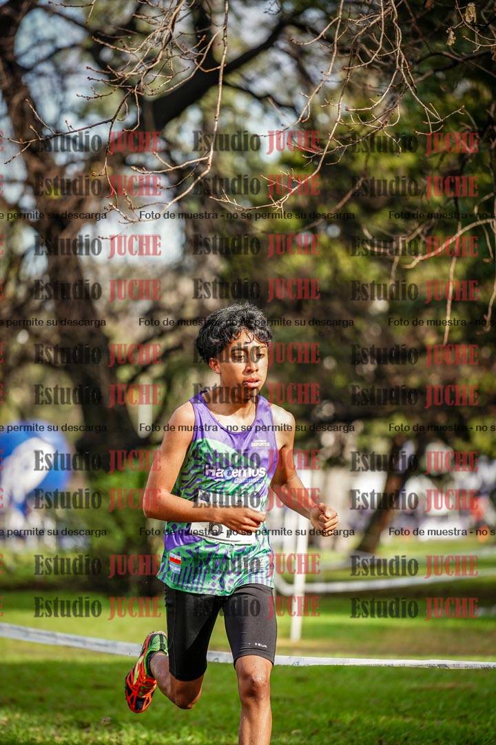 Fotos en el circuito