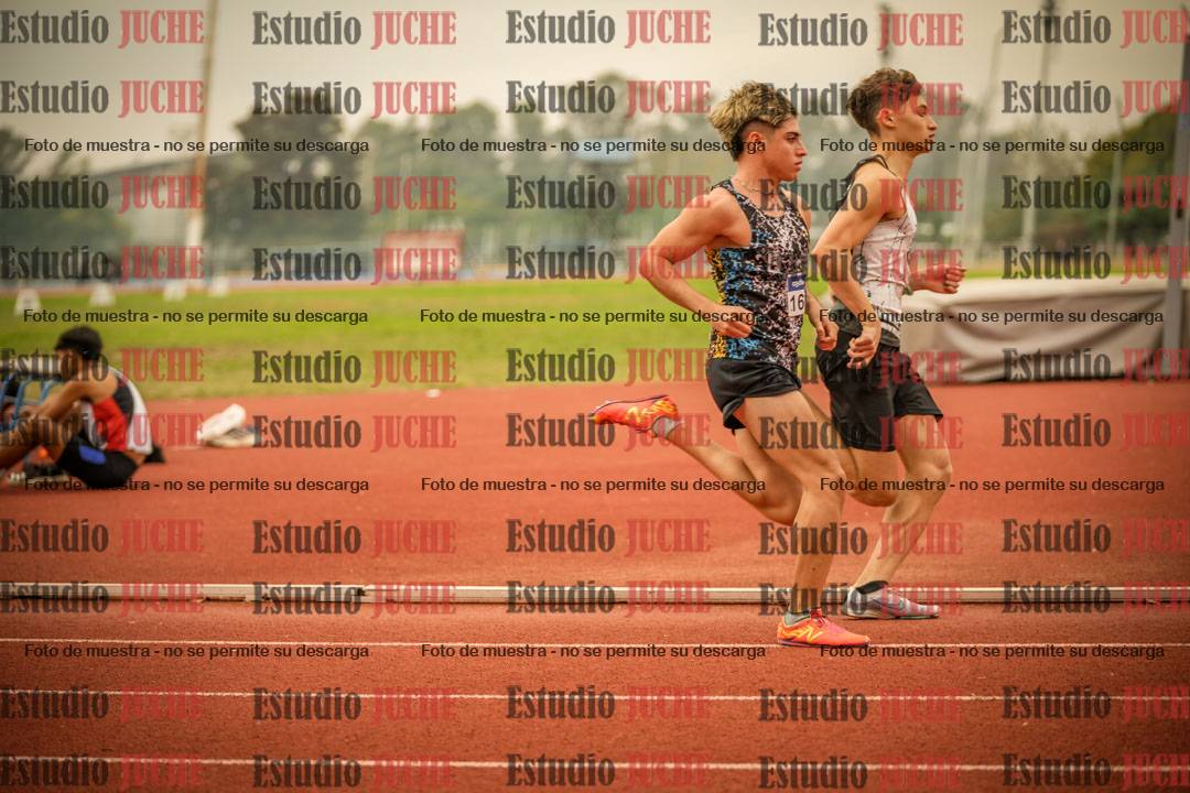 Fotos de los 800 m llanos de varones