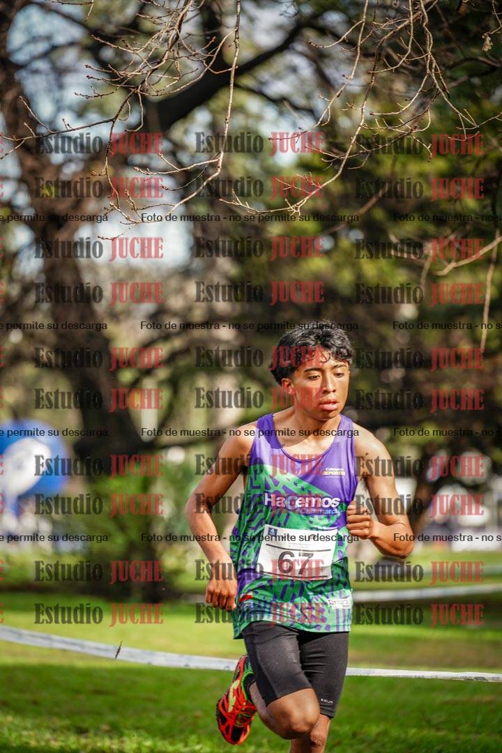 Fotos en el circuito