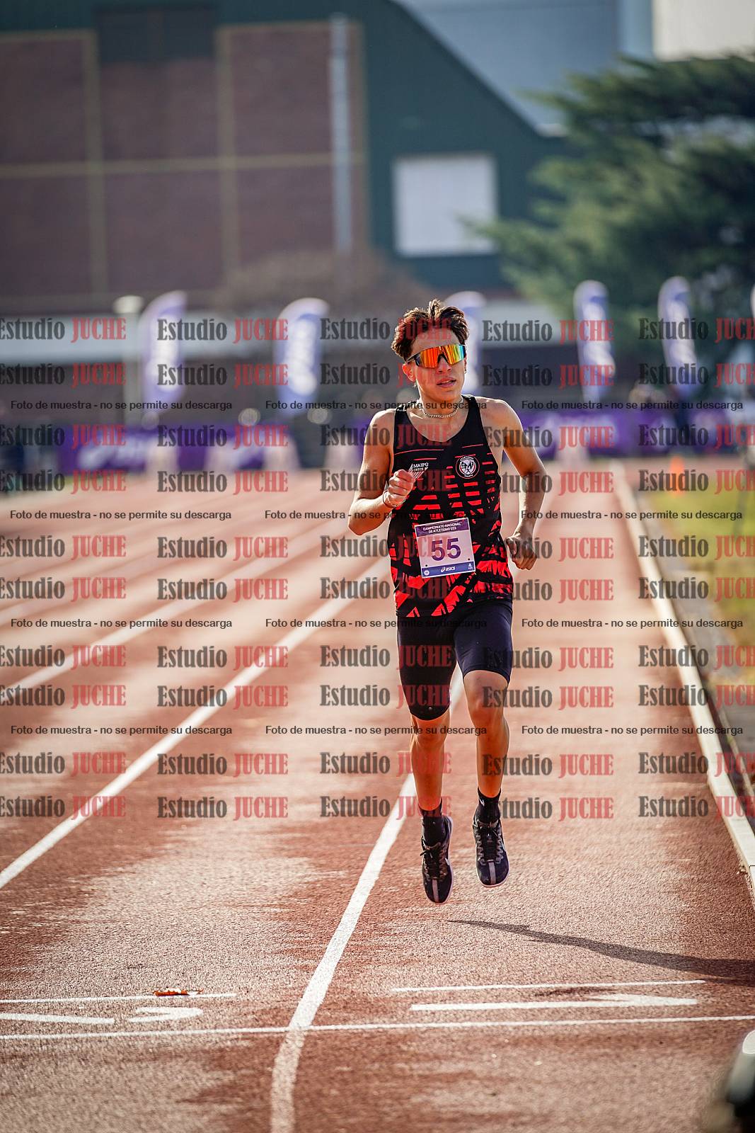 Fotos de los 800 m de varones