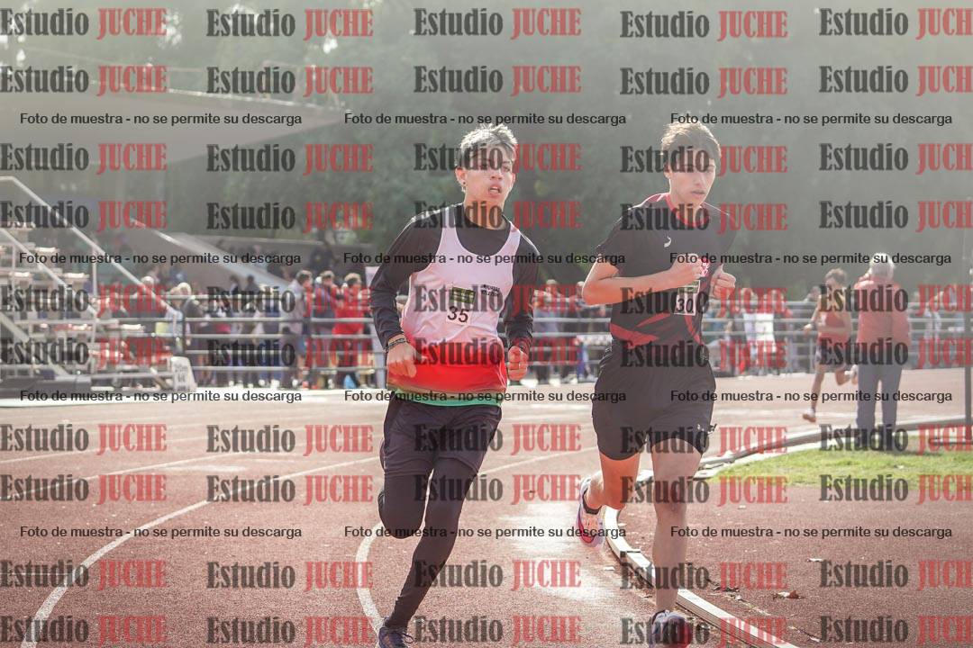 Fotos de los 600 m llanos de varones
