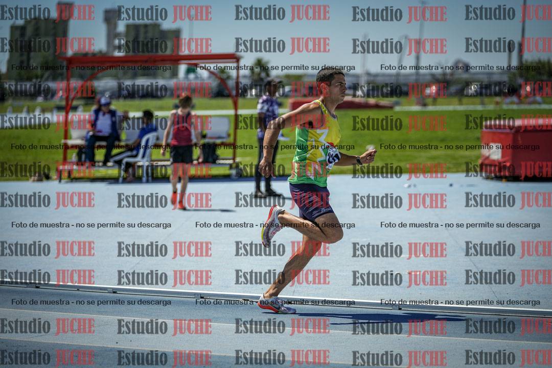 Fotos de los 800 m llanos de varones