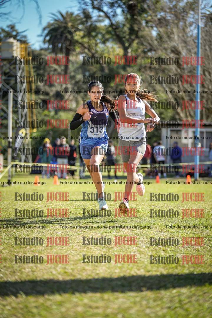Fotos de la llegada del cross de 2000 m