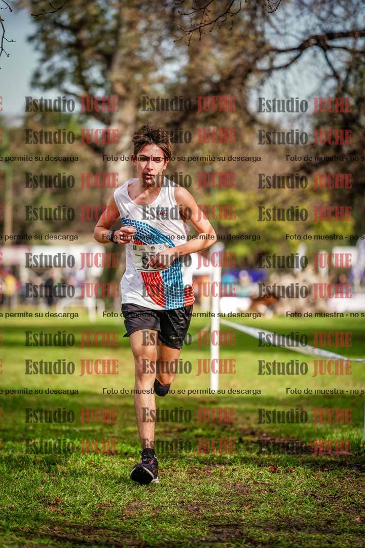 Fotos en el circuito