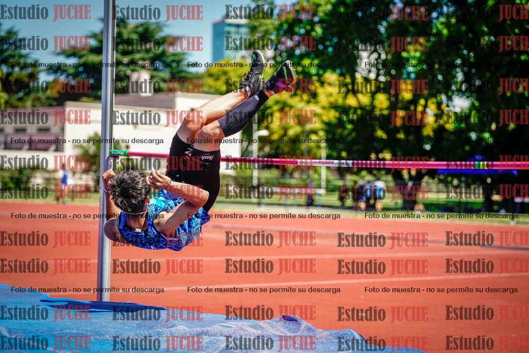 Fotos del salto en alto de varones